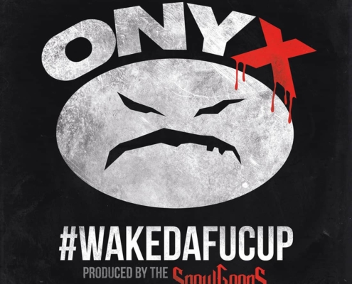 Onyx | recordJet