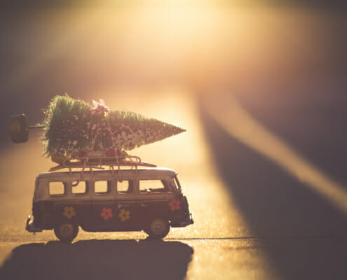 weihnachtsbaum auf vw bulli