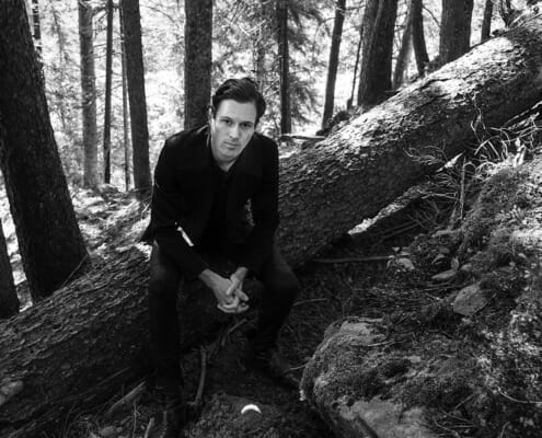 Dagobert on a tree trunk